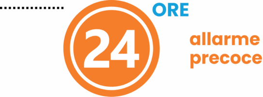 Obblighi di segnalazione 24 ore Obblighi di segnalazione 24 ore